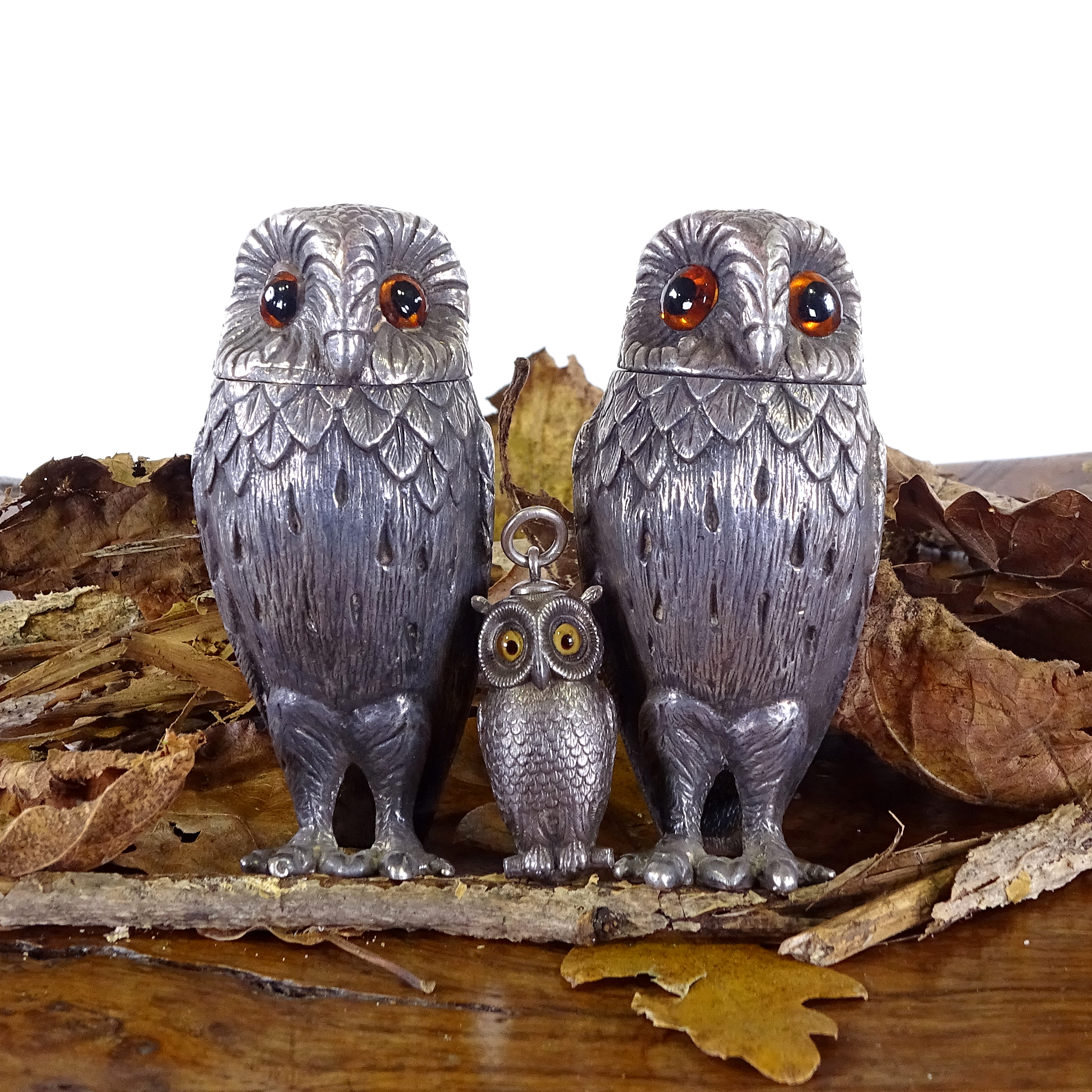 Silver Image
